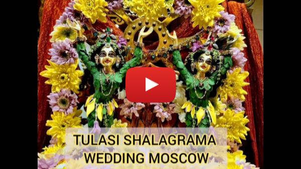 Tulasi Shalagram vivaha in Moscow